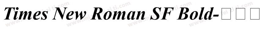 Times New Roman SF Bold字体转换